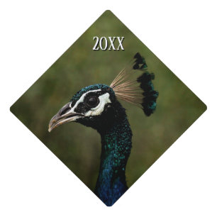 Profile of Peacock Year Graduation Cap Topper