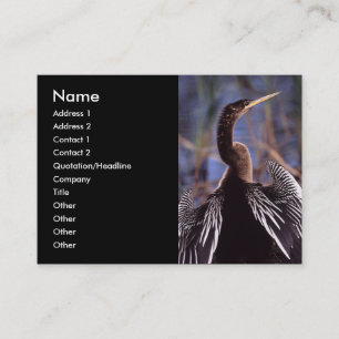 profile or business card, anhinga card