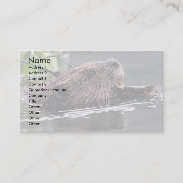 profile or business card, beaver card (Front)
