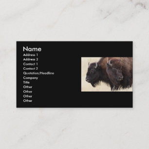 profile or business card, bison business card