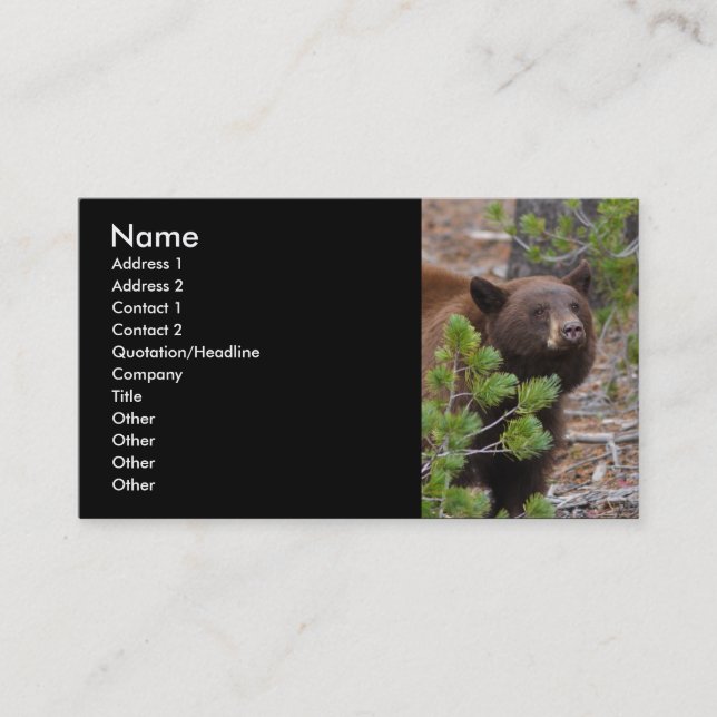 profile or business card, black bear business card (Front)