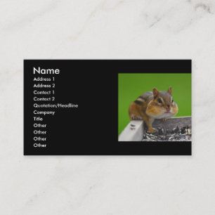 profile or business card, chipmunk card