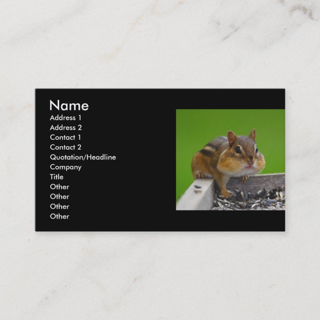profile or business card, chipmunk card (Front)