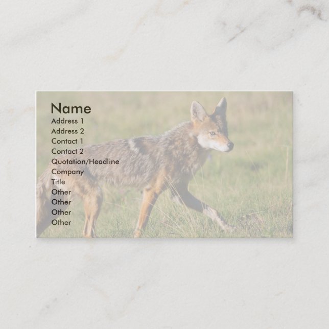 profile or business card, coyote business card (Front)