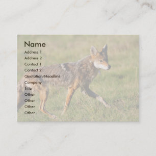 profile or business card, coyote card