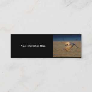 profile or business card, crane mini business card