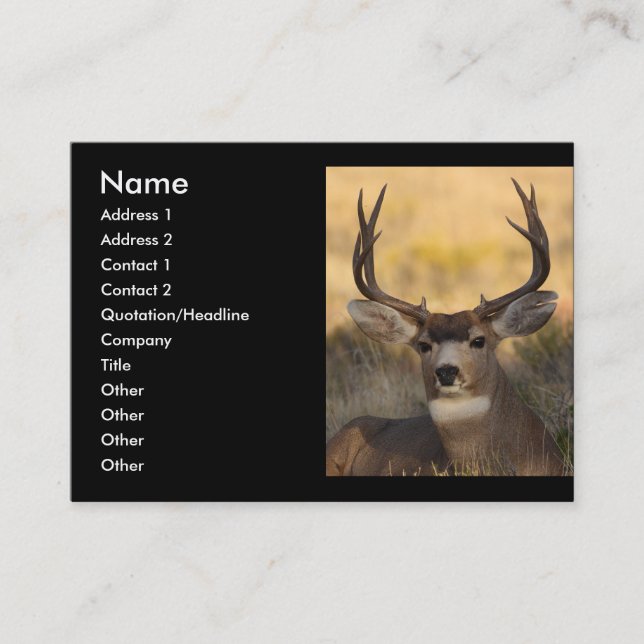 profile or business card, deer business card (Front)