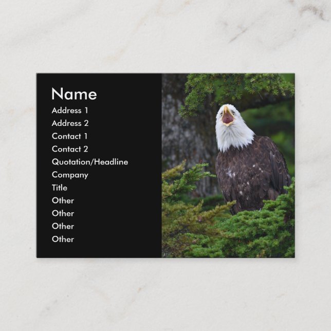 profile or business card, eagle card (Front)