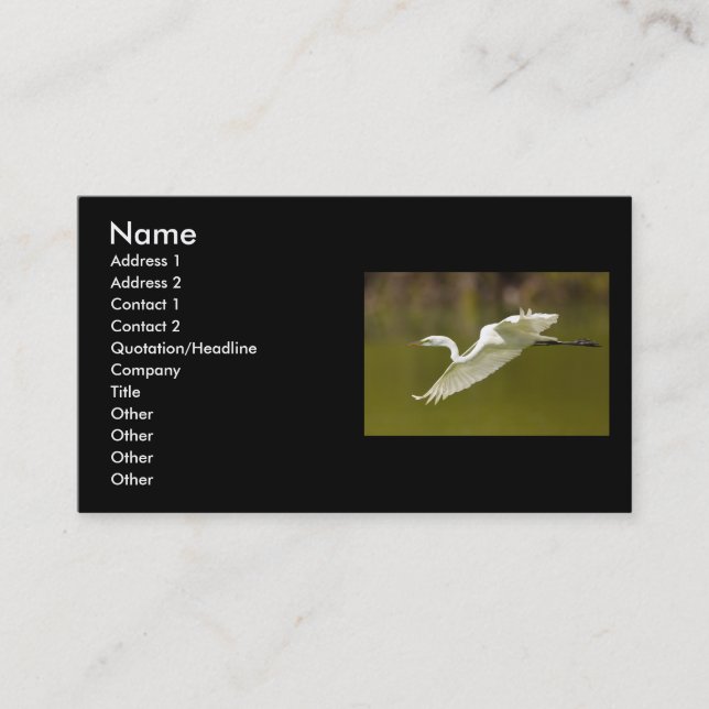 profile or business card, egret business card (Front)