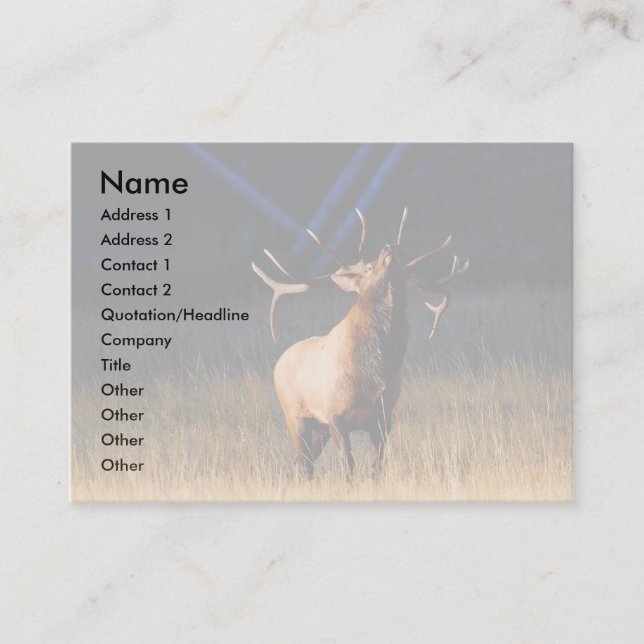 profile or business card, elk card (Front)