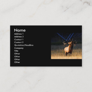 profile or business card, elk card