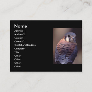 profile or business card, kestrel card