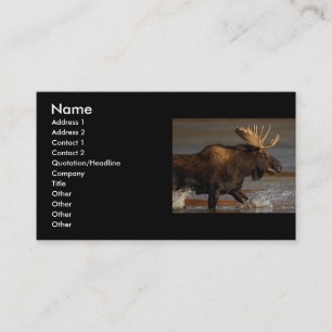 profile or business card, moose card
