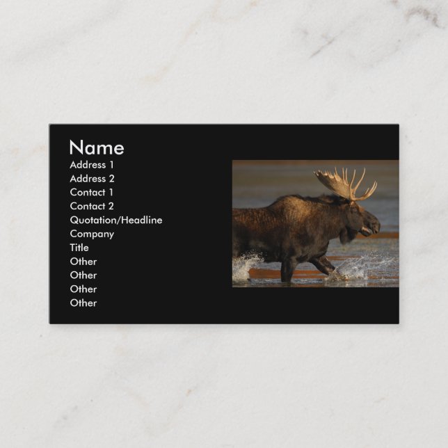 profile or business card, moose card (Front)