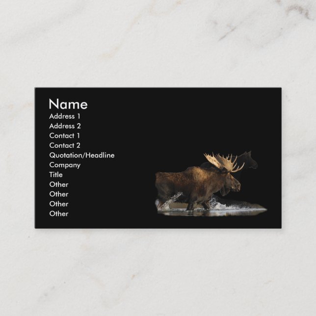 profile or business card, moose splash business card (Front)