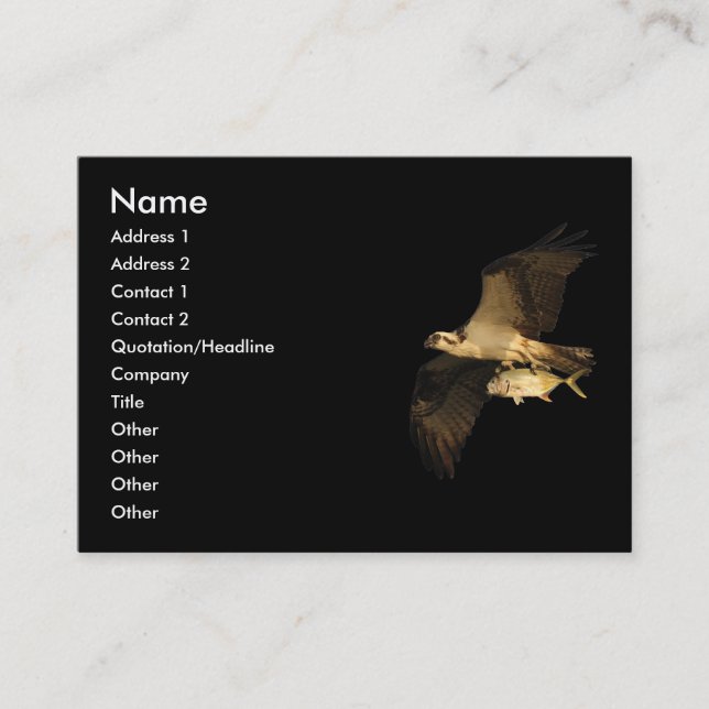 profile or business card, osprey card (Front)