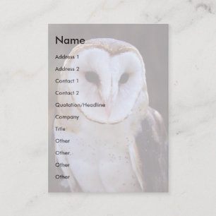 profile or business card, owl card