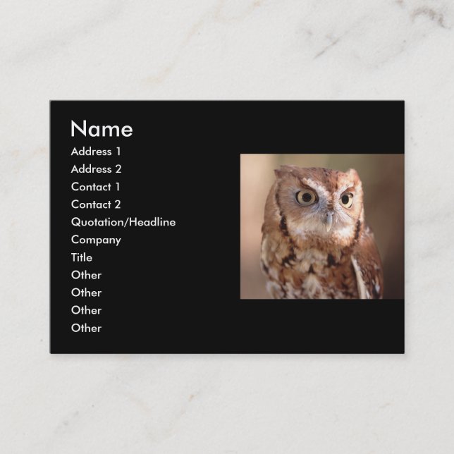 profile or business card, owl card (Front)