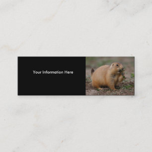 profile or business card, prairie dog mini business card