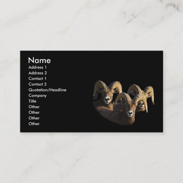 profile or business card, rams business card (Front)