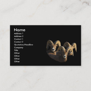 profile or business card, rams card
