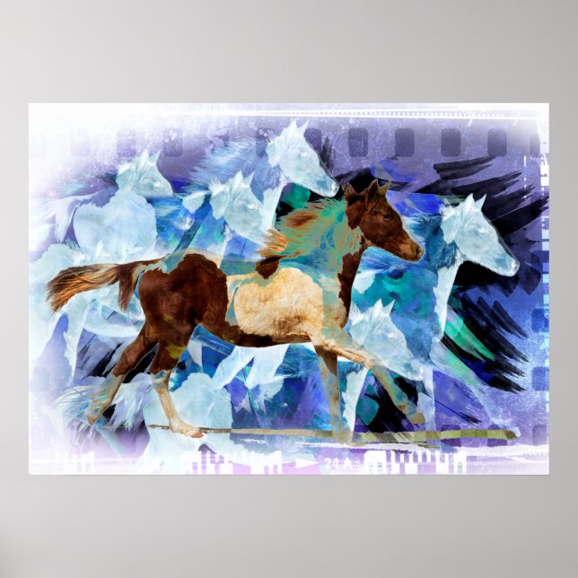 PROFILE PORTRAIT OF A PINTO HORSE RUNNING POSTER (Front)