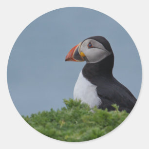 Profile Puffin Classic Round Sticker