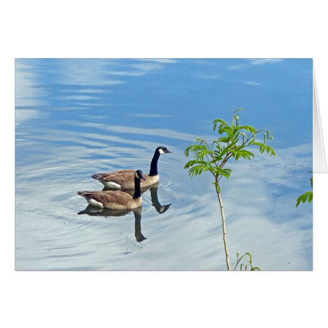 Profiter d'une baignade (Devant horizontal)