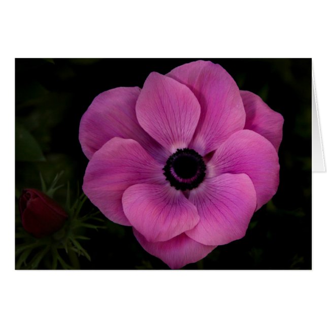 Profond (Devant horizontal)