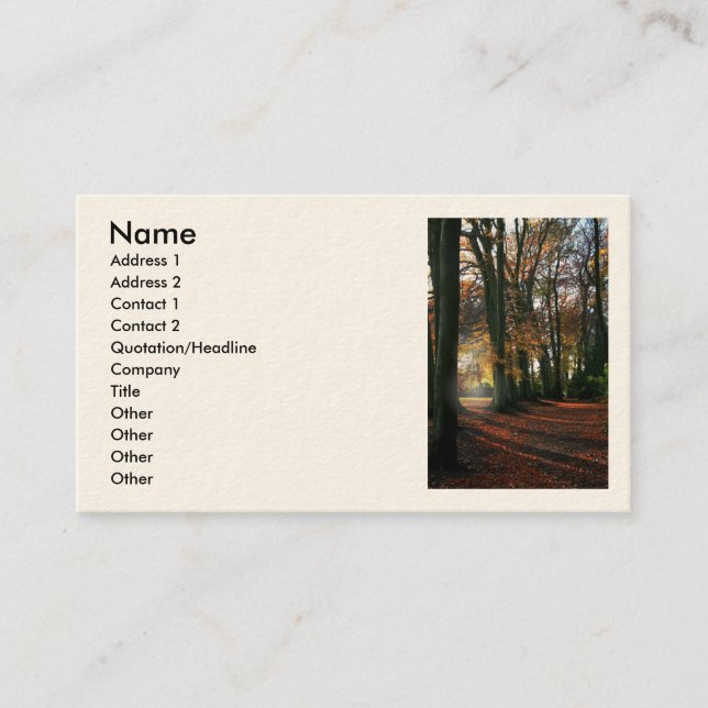 Profondément dans les cartes d'affaires/profil de (Devant)