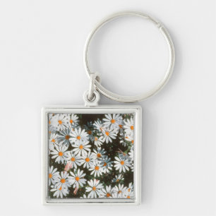 Profusion Of White Daises (Asteraceae) Keychain