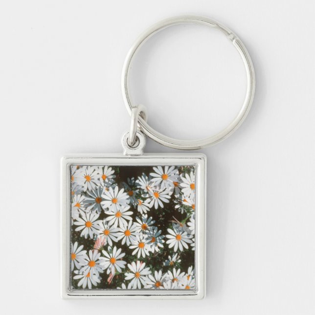 Profusion Of White Daises (Asteraceae) Keychain (Front)