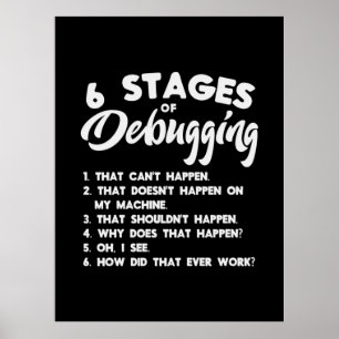 Progammer 6 Stages Of Debugging Poster