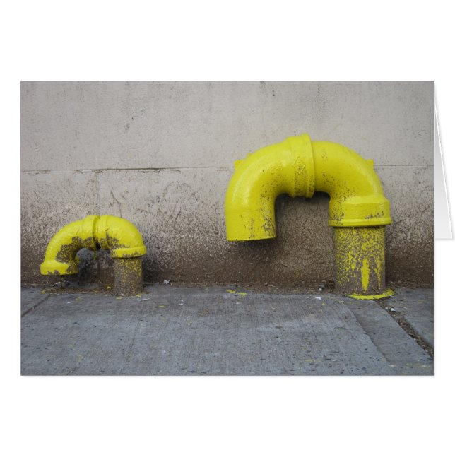 Progéniture 5x7 (Devant horizontal)