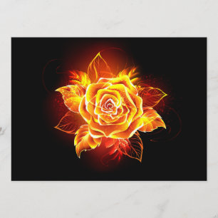 Programme Blooming Fire Rose