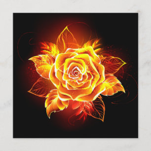 Programme Blooming Fire Rose