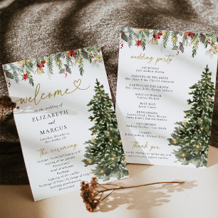 Programme Boho Rustique sapin de Noël Lumières Mariage