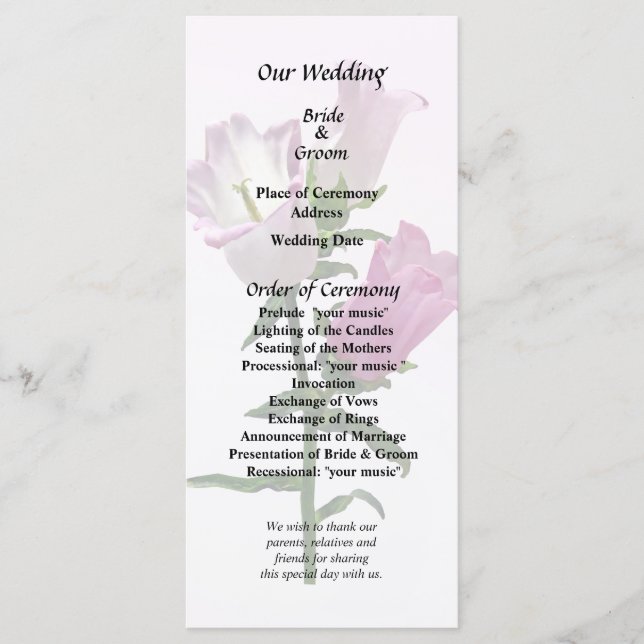 Programme Cloches de Canterbury roses (Devant)