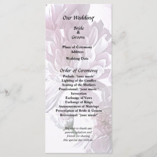 Programme Coeur rose Chrysanthème