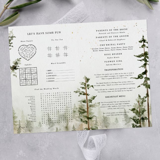 Programme de mariage à la cascade de la forêt rust (Créateur téléchargé)