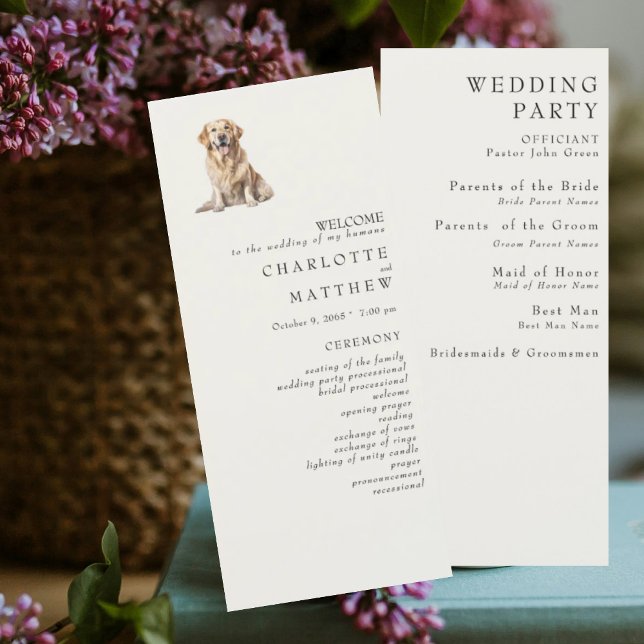 Programme de mariage à la crème pour animaux (Créateur téléchargé)