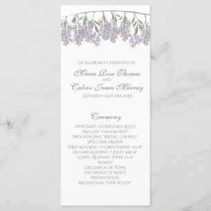 Programme de mariage des bactéries peintes
