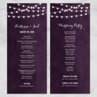 Programme de mariage des lumières à cordes de prun