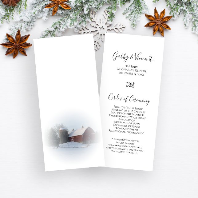 Programme de mariage hivernal sur la neige et le s (Créateur téléchargé)