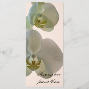 Programme Élégant Mariage d'orchidée blanche