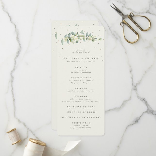 Programme Elégante crème Snowberry+Eucalyptus Mariage de tig (Devant/Arrière en situation)