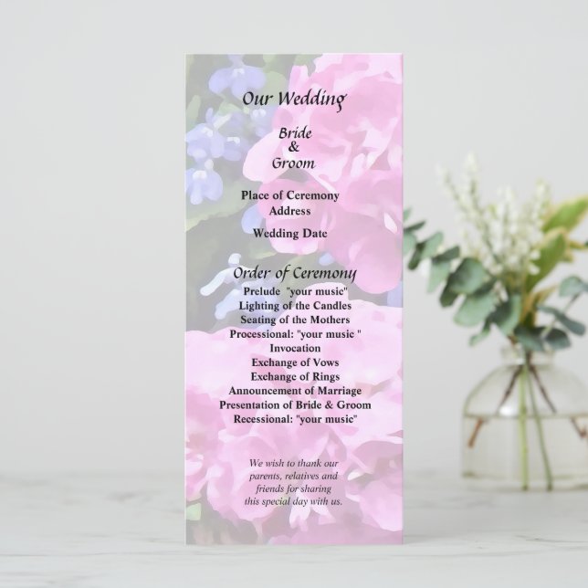 Programme Geraniums et Periwinkle (Debout devant)