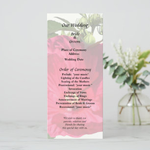 Programme Hibiscus rose foncé