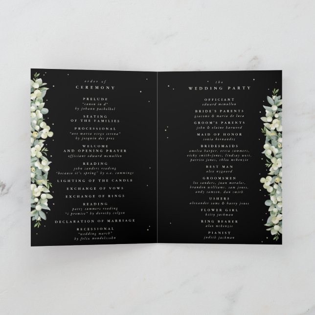 Programme Mariage d'hiver Elégant Black Snowberry+Eucalyptus (Intérieur)