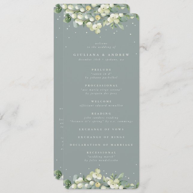 Programme Mariage d'hiver Seafoam Green Snowberry+Eucalyptus (Devant / Derrière)